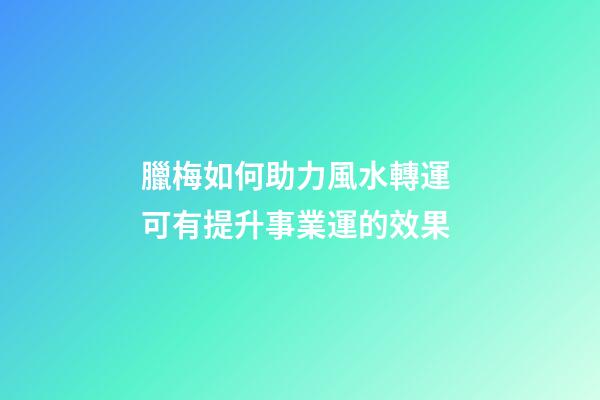 臘梅如何助力風水轉運 可有提升事業運的效果